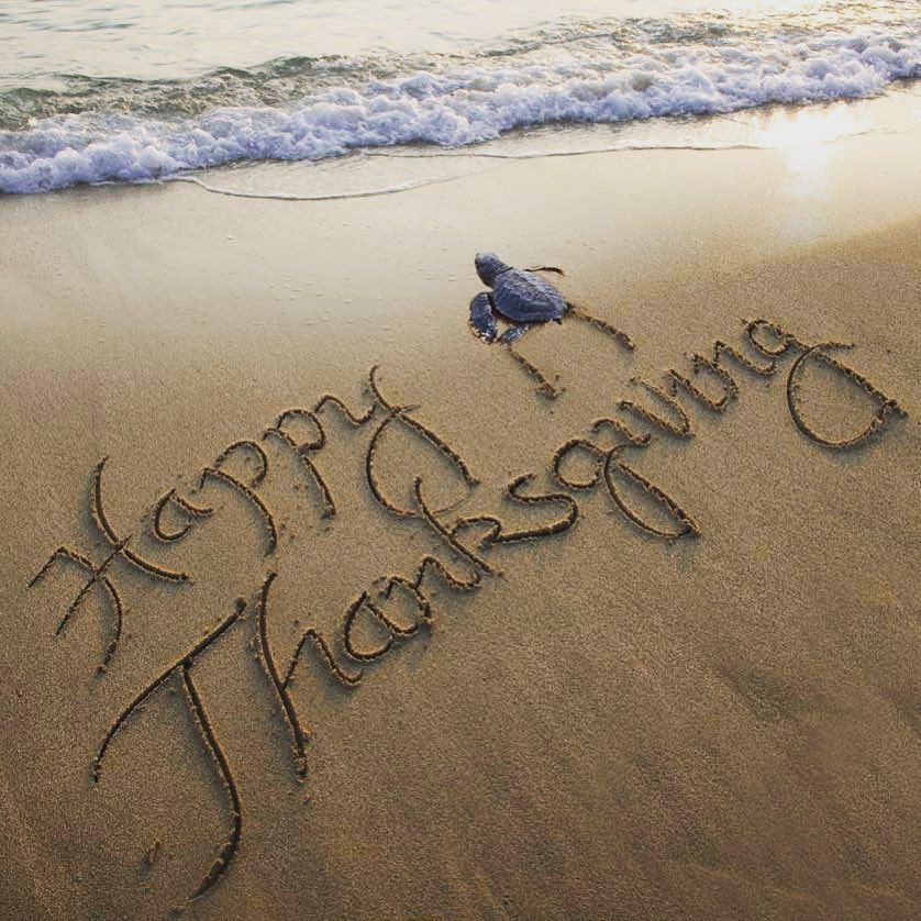 Thanksgiving in Tulum